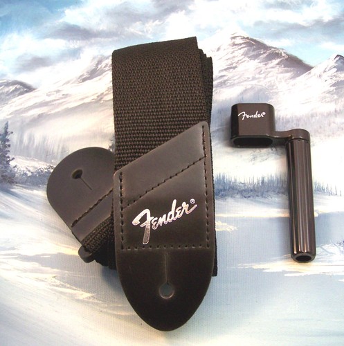 Genuine fender silver - genuine, logo